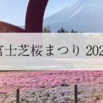 Fuji Shiba Cherry Blossom Festival 2022