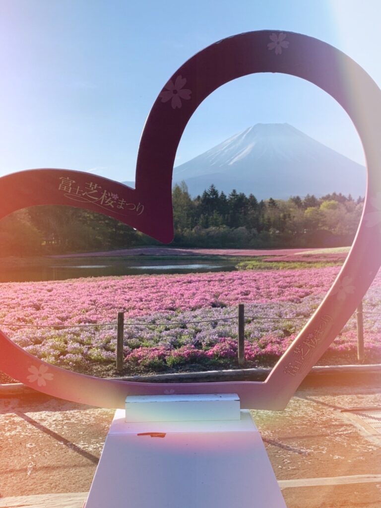 富士芝桜まつり♡